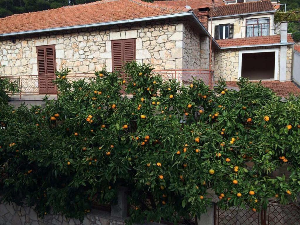Holiday House With A Parking Space Svirce, Hvar - 17682 Vrbanj Dış mekan fotoğraf